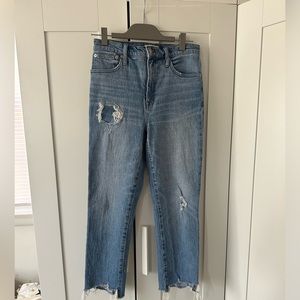 Madewell The Perfect Vintage Jean